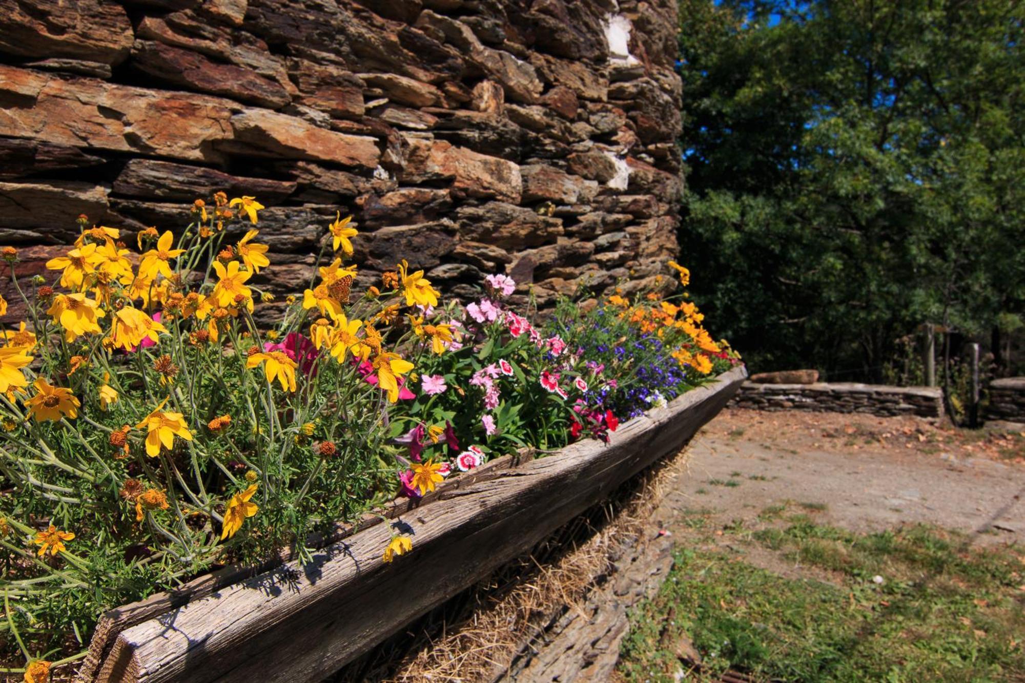 Gites Des Esperelles Saint-Privat-de-Vallongue 部屋 写真